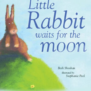 Little Rabbit Waits for the Moon (Meadowside Picture Books)