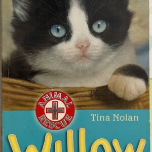 Willow - The Lonely Kitten