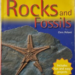 Kingfisher Young Knowledge Rocks and Fossils