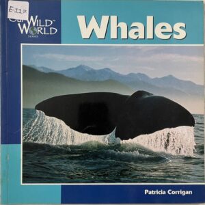 Our Wild World - Whales