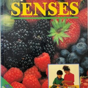 Experiment with Senses
