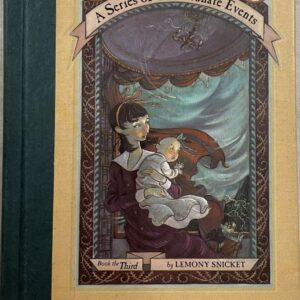 A Series of Unfortunate Events – The Wide Window
