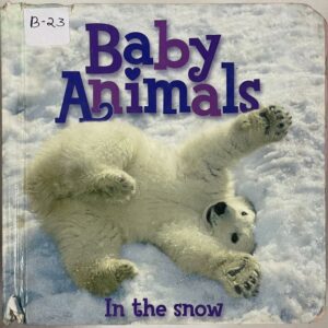 Baby Animals In the Snow