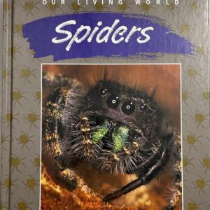 Our Living World – Spiders
