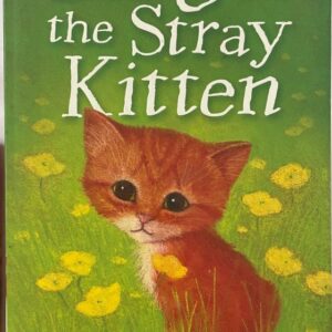 Ginger the Stray Kitten