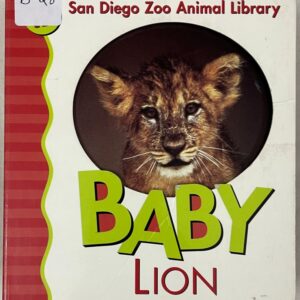 Baby Lion