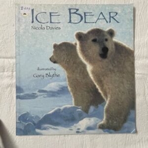 Ice Bear