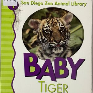 Baby Tiger