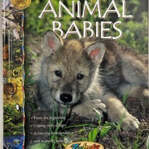 Animal Babies