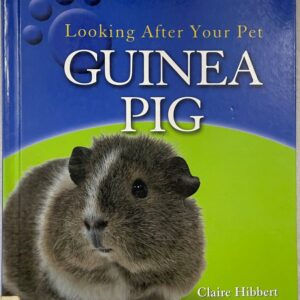 Looking After Your Pet Guinea Pig