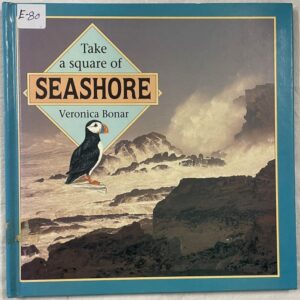 Take A Square of Seashore
