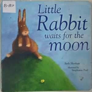 Little Rabbit waits for the Moon