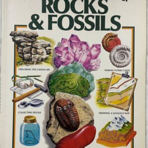 The Usborne NatureTrail Book of Rocks & Fossils