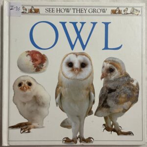 See How They Grow - Owl