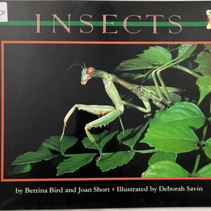 Insects