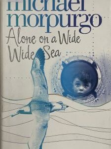 Alone on a Wide-Wide Sea