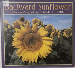 Backyard Sunflower