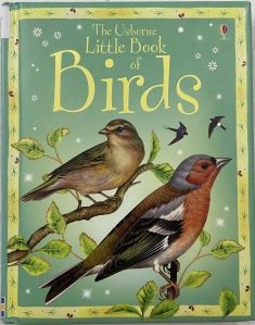 The Little Usborne Book of Birds