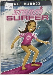 Storm Surfer