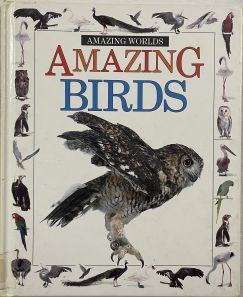 Amazing Worlds Amazing Birds