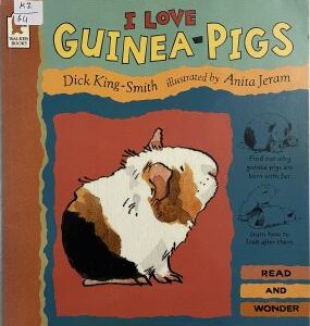 I Love Guinea Pigs