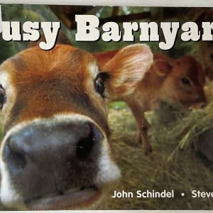 Busy Barnyard